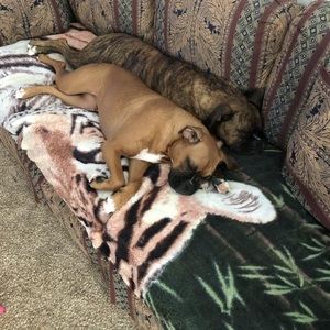 Meet your Posher, Debora